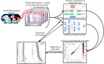 Deep Ocean Learning of Small Scale Turbulence